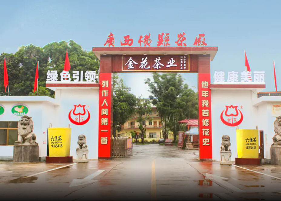 广西金花茶业有限公司